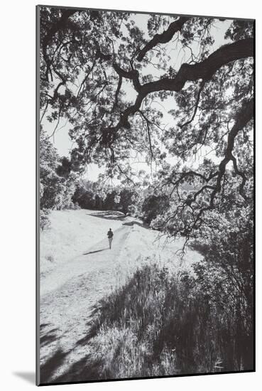 Afternoon Walk at Mitchell Canyon, Mount Diablo-null-Mounted Photographic Print