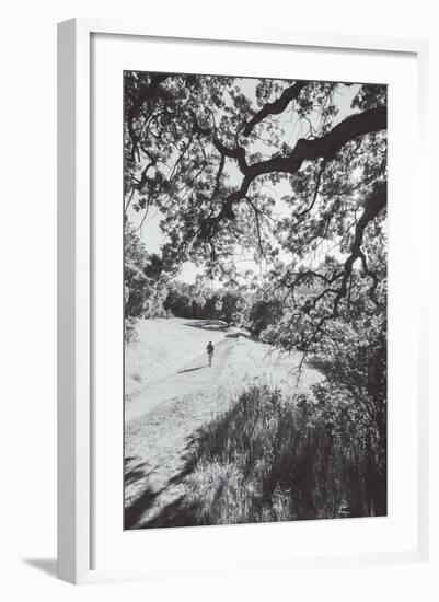 Afternoon Walk at Mitchell Canyon, Mount Diablo-null-Framed Photographic Print