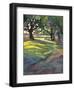 Afternoon Walk-Karen Mathison Schmidt-Framed Art Print