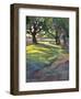 Afternoon Walk-Karen Mathison Schmidt-Framed Art Print