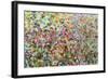 Afternoon-Jessica Torrant-Framed Art Print