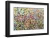 Afternoon-Jessica Torrant-Framed Art Print