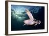 Afternoon-Sergi Garcia-Framed Photographic Print