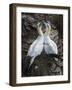 Afterplay-Greg Barsh-Framed Photographic Print