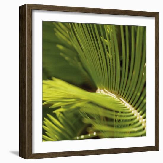 Agadir-Tony Koukos-Framed Giclee Print