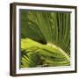 Agadir-Tony Koukos-Framed Giclee Print