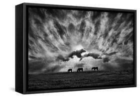 Against an Angry Sky-Adrian Campfield-Framed Stretched Canvas