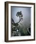 Against the Odds-Andreas Wonisch-Framed Photographic Print