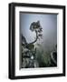 Against the Odds-Andreas Wonisch-Framed Photographic Print