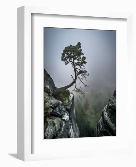 Against the Odds-Andreas Wonisch-Framed Photographic Print