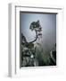 Against the Odds-Andreas Wonisch-Framed Photographic Print