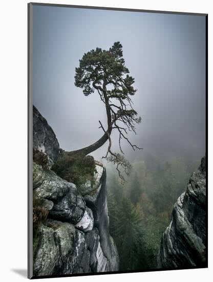 Against the Odds-Andreas Wonisch-Mounted Photographic Print