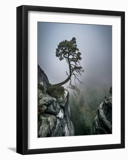 Against the Odds-Andreas Wonisch-Framed Photographic Print