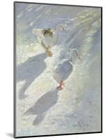 Against the Slope-Timothy Easton-Mounted Giclee Print