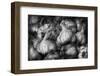 against vampires-holger droste-Framed Photographic Print