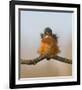 Against Wind-Cheng Chang-Framed Giclee Print