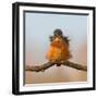 Against Wind-Cheng Chang-Framed Photographic Print