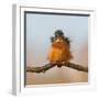Against Wind-Cheng Chang-Framed Photographic Print