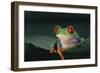 Agalychnis Callidryas-DLILLC-Framed Photographic Print