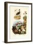 Agami Heron, 1833-39-null-Framed Premium Giclee Print