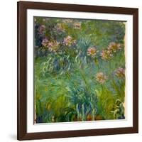 Agapanthus (1914-26)-Claude Monet-Framed Giclee Print