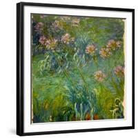 Agapanthus (1914-26)-Claude Monet-Framed Giclee Print