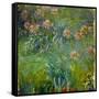 Agapanthus (1914-26)-Claude Monet-Framed Stretched Canvas