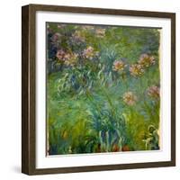 Agapanthus (1914-26)-Claude Monet-Framed Giclee Print