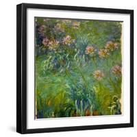 Agapanthus (1914-26)-Claude Monet-Framed Giclee Print