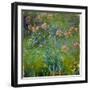 Agapanthus (1914-26)-Claude Monet-Framed Giclee Print