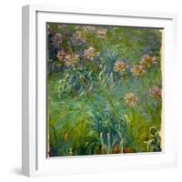 Agapanthus (1914-26)-Claude Monet-Framed Giclee Print