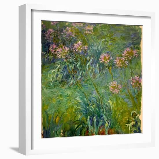 Agapanthus (1914-26)-Claude Monet-Framed Giclee Print