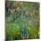 Agapanthus (1914-26)-Claude Monet-Mounted Giclee Print