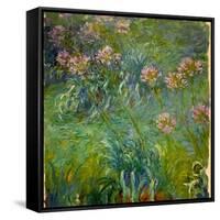 Agapanthus (1914-26)-Claude Monet-Framed Stretched Canvas