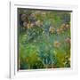 Agapanthus (1914-26)-Claude Monet-Framed Giclee Print