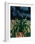 'Agapanthus', 1914, (c1932)-Mark Gertler-Framed Giclee Print