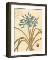 Agapanthus Curiosity-Chad Barrett-Framed Art Print