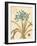 Agapanthus Curiosity-Chad Barrett-Framed Art Print