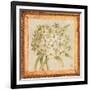 Agapanthus Floret Detail-Lauren Hamilton-Framed Art Print