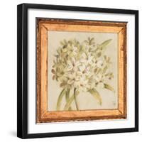 Agapanthus Floret Detail-Lauren Hamilton-Framed Art Print