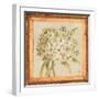 Agapanthus Floret Detail-Lauren Hamilton-Framed Art Print