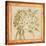Agapanthus Floret Detail-Lauren Hamilton-Stretched Canvas