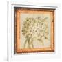 Agapanthus Floret Detail-Lauren Hamilton-Framed Art Print