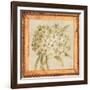 Agapanthus Floret Detail-Lauren Hamilton-Framed Art Print