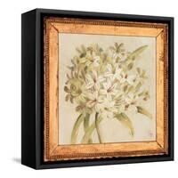 Agapanthus Floret Detail-Lauren Hamilton-Framed Stretched Canvas