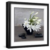 Agapanthus-Catherine Beyler-Framed Art Print