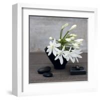 Agapanthus-Catherine Beyler-Framed Art Print