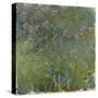 Agapanthus-Claude Monet-Stretched Canvas