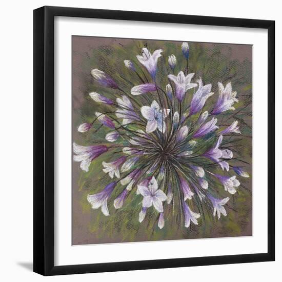 Agapanthus-Margo Starkey-Framed Giclee Print