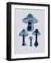 Agaricus Bulbosus - Blue-John Stephenson and James Morss Churchill-Framed Giclee Print